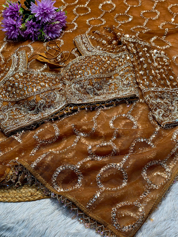 Elegant Net Saree with Designer Ready-Made Blouse