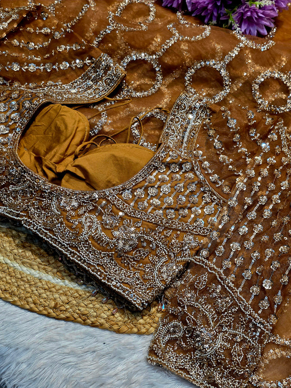 Elegant Net Saree with Designer Ready-Made Blouse
