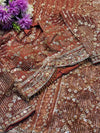 Elegant Net Saree Ready-Made Blouse – Designer Party Wear Look