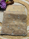 Elegant Tissue Saree – Timeless Grace & Royal Charm